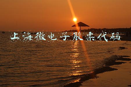 上海微电子股票代码