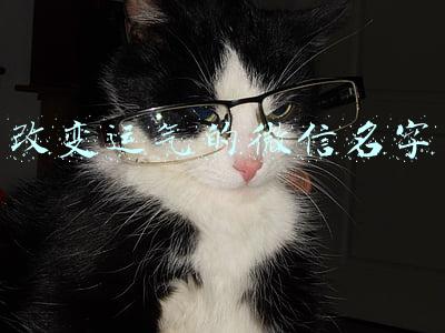 好名字好运气微信名(姓氏头像：鸿运当头，你的微信头像该换了，换上新头像接收新财运)