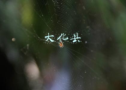 大化县人民医院(悲痛！32岁辅警唐帅倒在疫情防控一线)