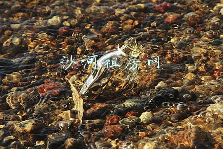 沙河租房信息 房小二网(南山文明观①：实践与传承)