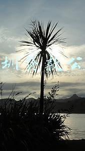 深圳贷款公司