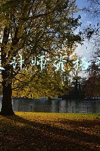 设计师资格证报考条件(室内设计师报考条件是什么？怎么考？)