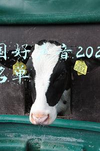 中国好声音2021八强名单于梓贝(《2021中国好声音》八强争霸赛制升级，学员打破舒适圈向前高歌)