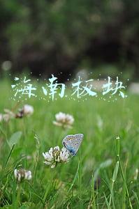 海南板块