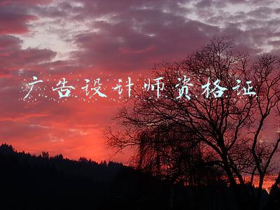 广告设计师资格证