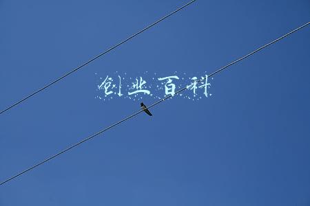 创业百科