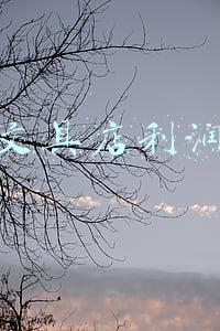 文具店利润