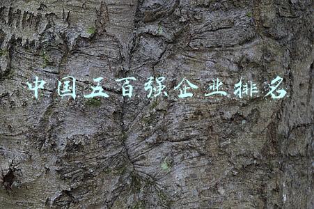 中国五百强企业排名