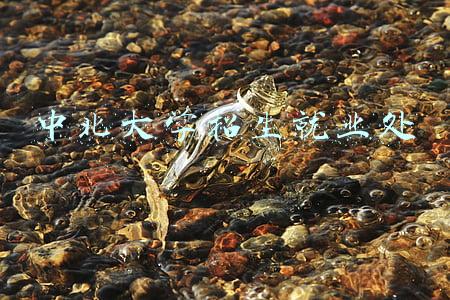 中北大学招生就业处