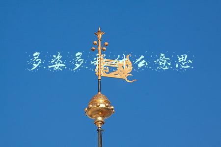多姿多彩什么意思