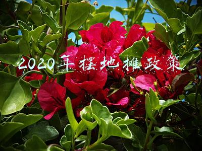 长沙摆地摊政策(长沙天心区多个路段允许摊贩签承诺书申请摊位，专家：地摊经济优势还是很明显的)