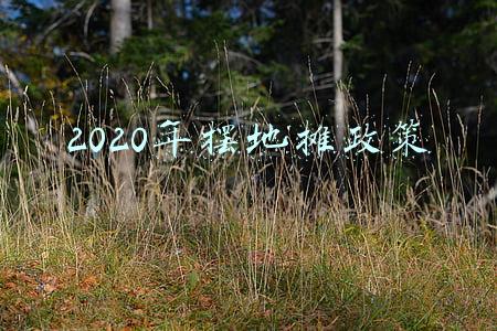 北京摆地摊政策(北京“摆摊”出新规 市民能上街“练摊儿”吗？)