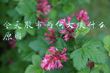 股市大跌的原因今天(近期引发股指下跌的三点原因及解决办法)