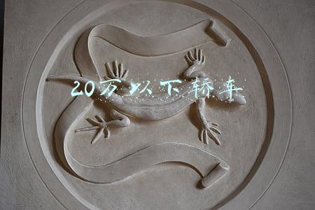 20万以下轿车推荐(一定要氛围灯！20万左右、有面子的轿车，到底应该买哪一款？)