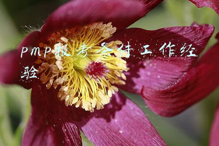pmp报考条件工作经验