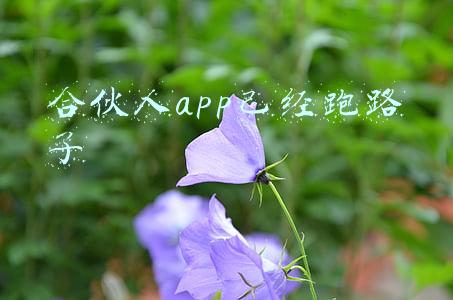 合伙人app已经跑路了怎么报警(最大追星平台跑路？涉及金额数千万，粉丝：这事没完...律师支招了)