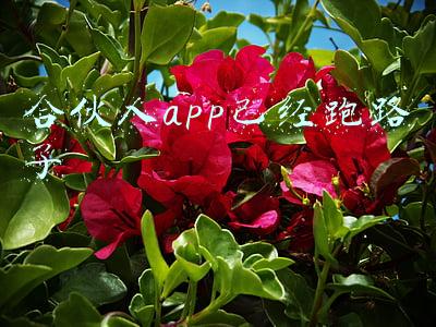 合伙人app官网(联想创投高级合伙人宋春雨：AI大数据赛道依旧“星辰大海”、大有可为｜探路2022)