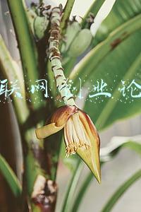 互联网创业论坛