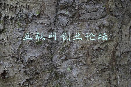 互联网创业论坛的句子(创业者正能量一句话经典语录，看完醒悟！)