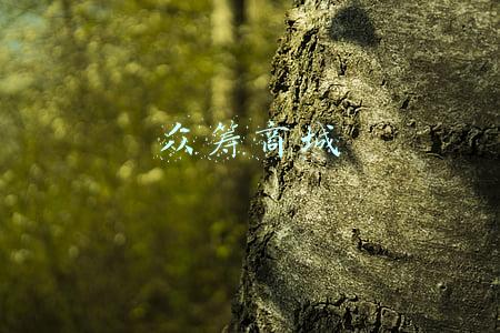 众筹网官网(137个实用网站：社群架构运营师、广告人、营销人、策划人必备)