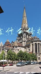 玉米靠什么传播种子
