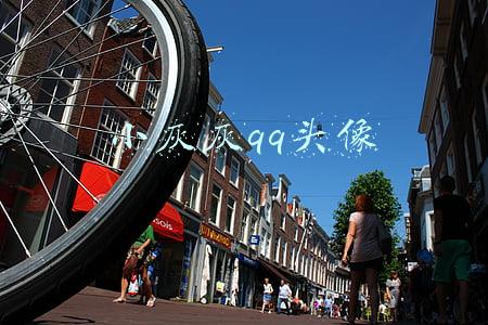 小灰灰图片头像 帅气 可爱(1.29 | 小头像 壁纸，夜幕灰灰，森林沉醉，夜风狼狈)