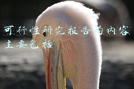 立项可行性研究报告(项目管理：活动项目立项可行性研究报告)