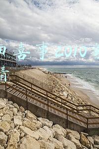 花田喜事2010粤语高清