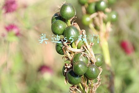 奥迪s5双门版后排空间(2020年奥迪S5 Sportback轿跑版：V6最佳平衡点)