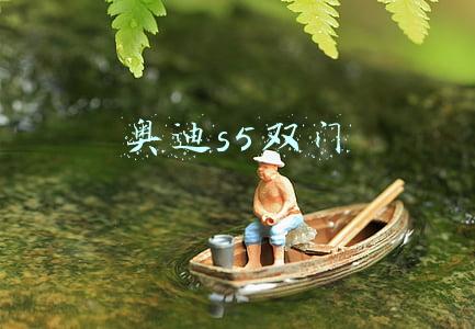 奥迪s5多少钱(奥迪全新S5正式上市售67.88-80.38万元)