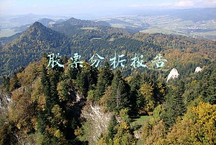 贵州茅台股票分析报告(白酒板块大跌！有券商下调贵州茅台2021年净利润增速预测)