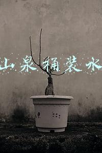 农夫山泉桶装水加盟