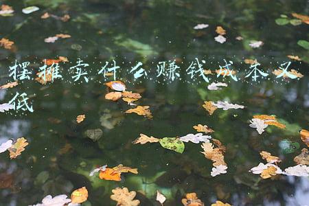 摆摊卖什么赚钱成本又低小吃(于二闯：路边摊卖什么小吃赚钱？)