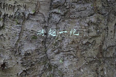 烤翅一绝