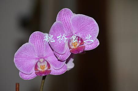 魏桥创业股票(兄弟公司遭做空 魏桥纺织复牌跌8.6%)
