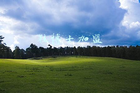 鞋博士加盟大概多少钱(大二学生想在大学城附近开一家球鞋洗护店启动资金10w可行性高吗)