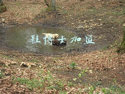 鞋博士加盟官网(深圳消委会测评：这款月销43万的拖鞋，化学物质超欧标313倍)