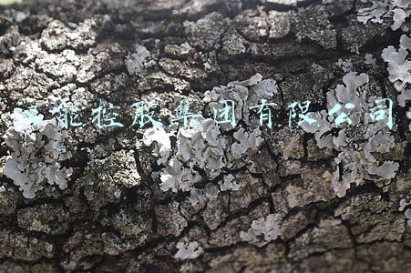 汉能集团现在怎么样(刚当首富三个月，千亿王国就崩了，最惨中国首富真是个大忽悠？)