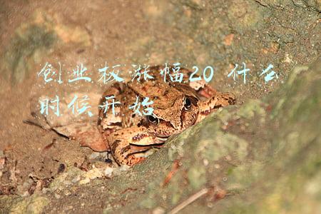 创业板涨幅20 什么时候开始