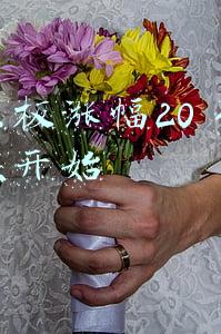 创业板涨幅20 什么时候开始