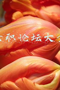 兼职论坛大全