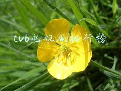 2018年tvb电视剧排行榜(无滤镜、无美颜的珍贵大头照，这十位TVB女星，谁丑谁美一目了然)