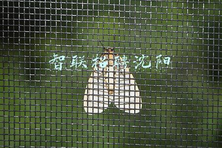 智联招聘沈阳分公司怎么样(24小时点击量破万，近千人报名——“云聘”会传递铁西高质量发展最强音)