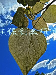 环保创业项目排行榜前十名(环保板块10大妖股（附名单）)