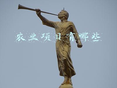高效农业项目有哪些(什么是高效农业？高效农业项目有哪些？一文说清)