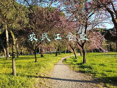 农民工创业好项目(农民工想创业，国家有哪些政策支持？)