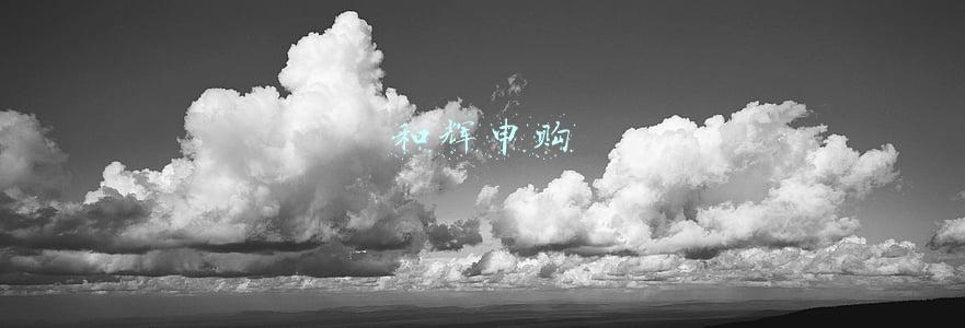 和辉申购什么时候上市(上海和辉光电股份有限公司 首次公开发行股票并在科创板上市 发行结果公告)