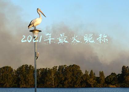 2021年最火昵称带符号(2021 年最受欢迎的emoji（表情符号）公布)