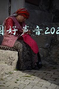 中国好声音2021导师