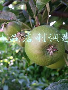 化妆品利润一般是多少，进口化妆品利润一般是多少